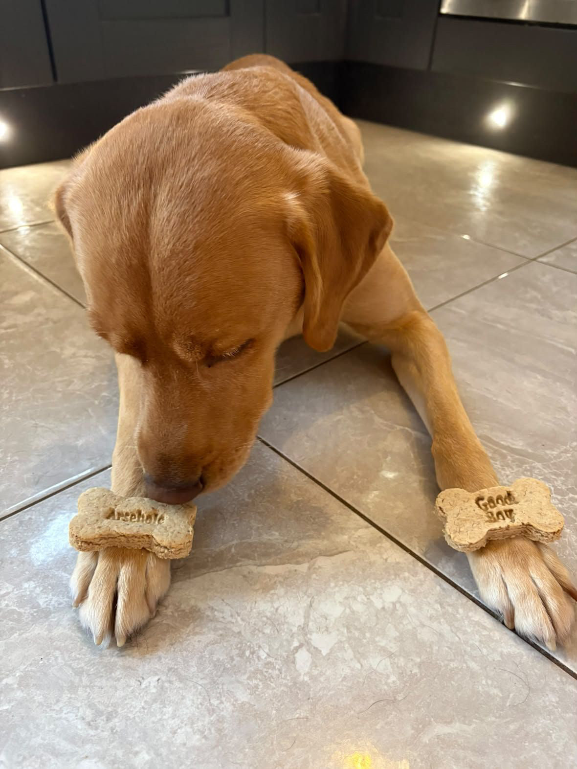 Cheeky Bones - Arsehole