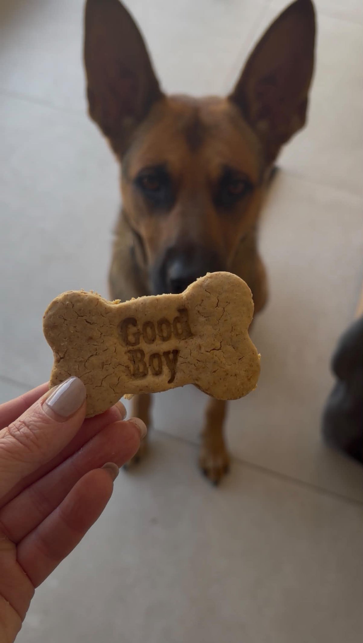 Cheeky Bones - Good Boy