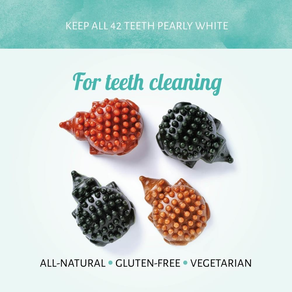 Veggie Hedgehogs - Large