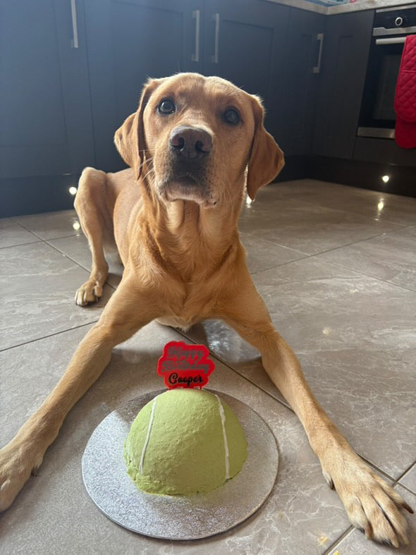 Custom Doggie Cake