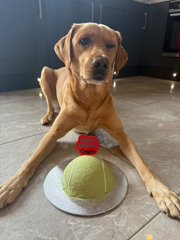 Custom Doggie Cake