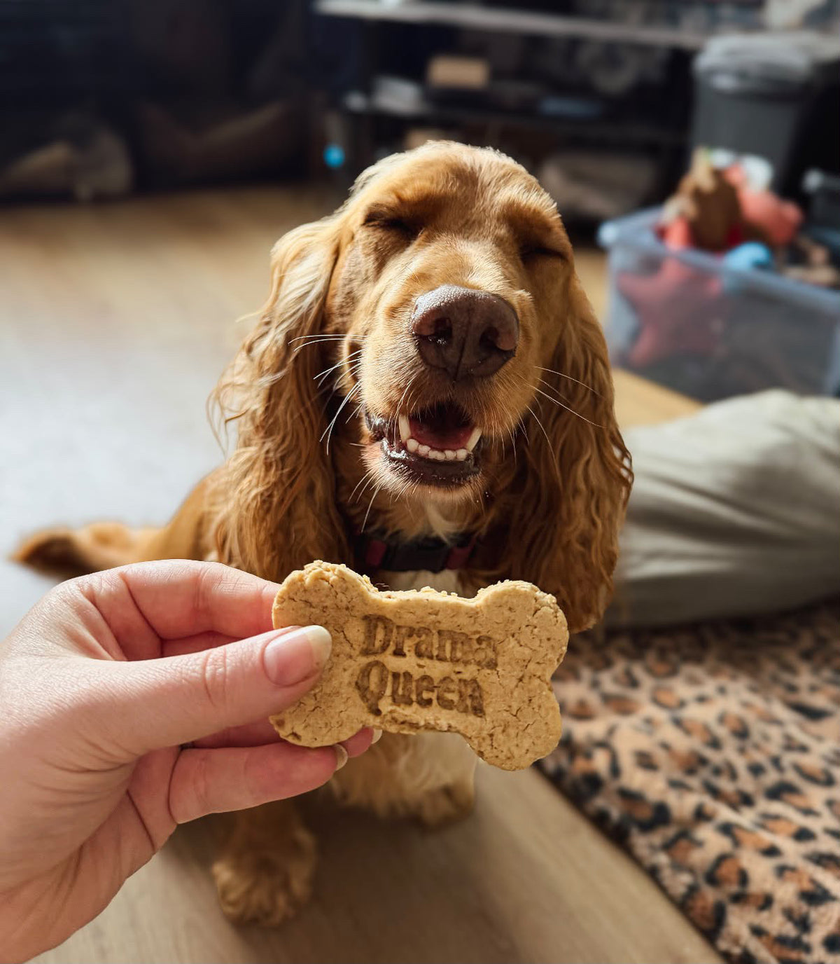 Cheeky Bones - Drama Queen