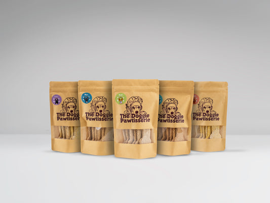 The Curious Canine Bundle