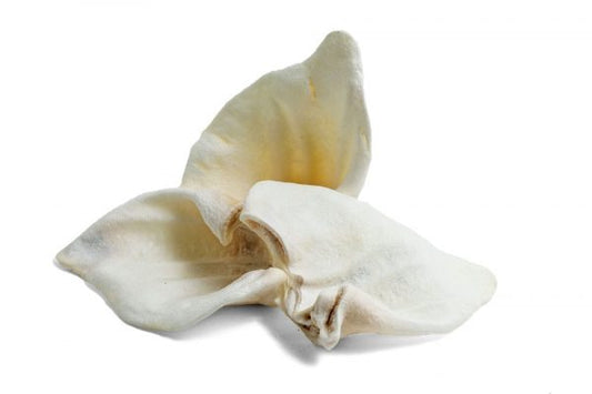 Puffed Pig Ear (Single)