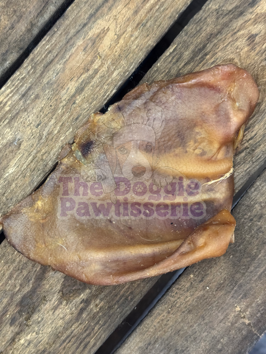 Large Pigs Ears