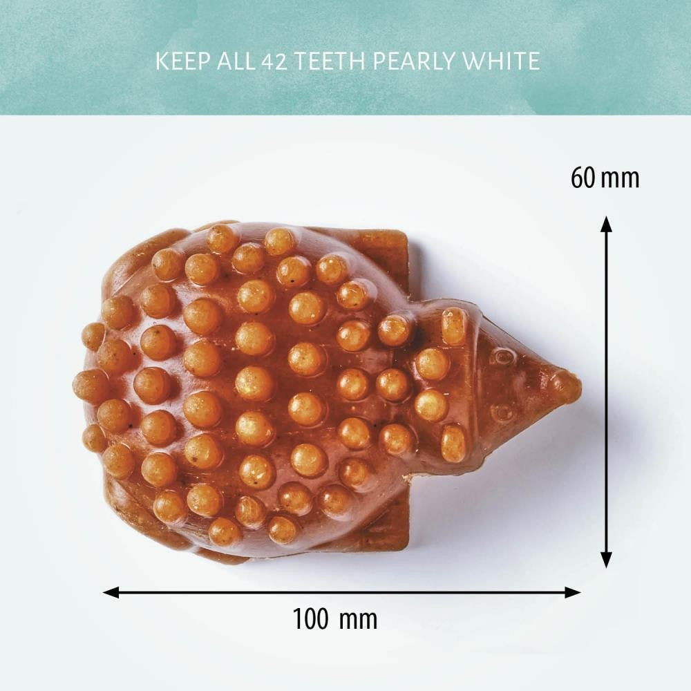 Veggie Hedgehogs - Large