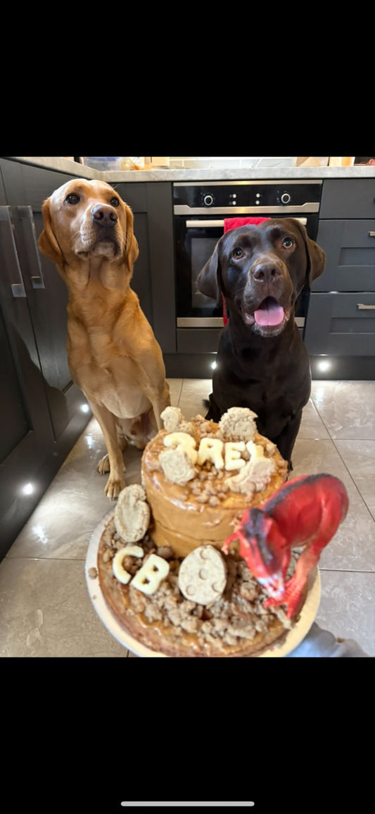 Custom Doggie Cake